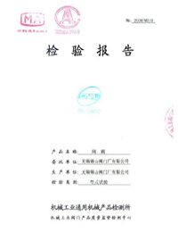 型式(shì)試驗報告(gào)